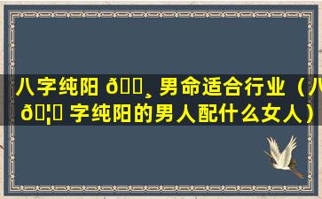 八字纯阳 🌸 男命适合行业（八 🦋 字纯阳的男人配什么女人）